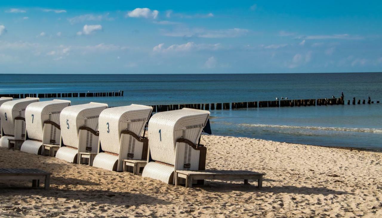 PREMIUM-LODGE im DER SÜDSCHWEDE ... Dein Gästehaus mitten in Ostseeheilbad Zingst Exterior foto